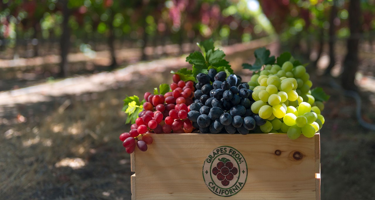 1528277463762695.jpg 微信圖片_20180606173048.jpg