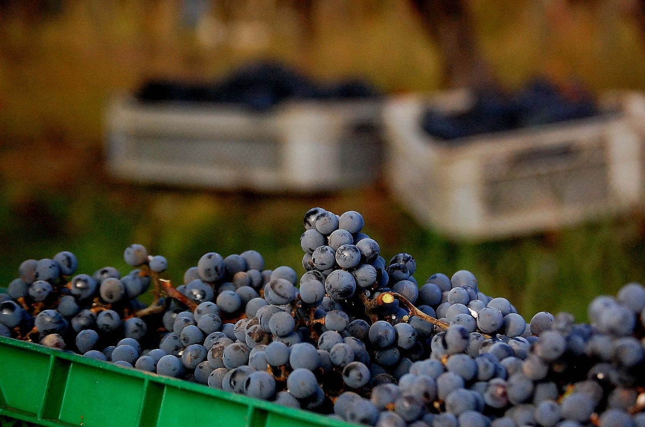 1528277497692725.jpg 微信圖片_20180606173054.jpg